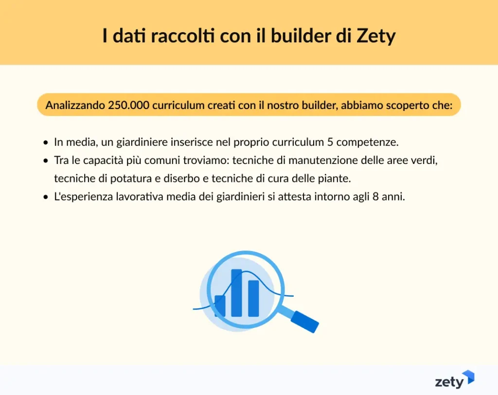 I dati raccolti con il builder di Zety