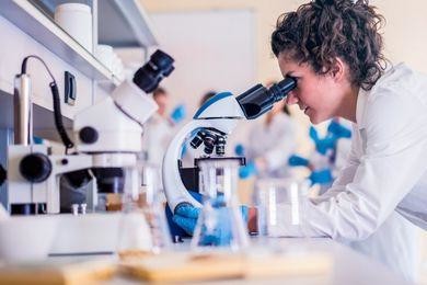 Curriculum vitae per biologo laboratorio di analisi (esempi)